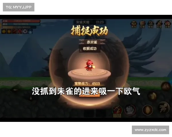 揭开朱雀天境神秘面纱全面解析不可不知的七重入境修炼步骤